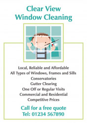 light green window cleaner leaflets