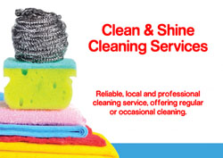cleaning scourer flyers