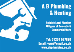 local plumber flyers