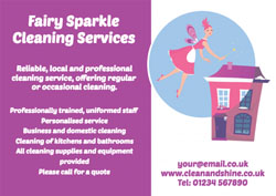 cleaning fairy flyers