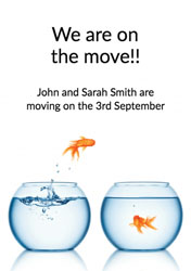 goldfish moving cards