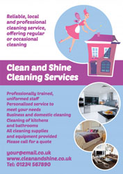cleaning fairy leaflets
