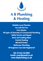 blue plumbing leaflets