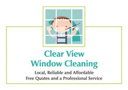 light green window cleaner flyers