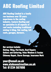 roofing flyers