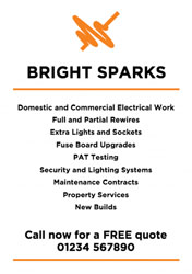 electrical pulse flyers
