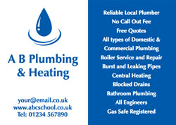 blue plumbing flyers