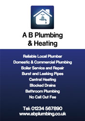 domestic plumbing flyers