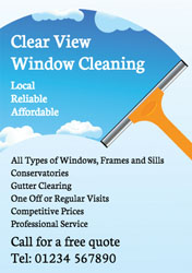 window squeegee flyers