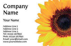sunflower business cards