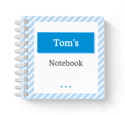 blue stripes mini notebook