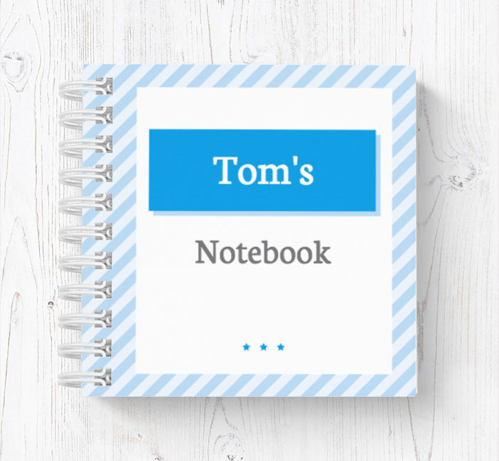 blue stripes mini notebook