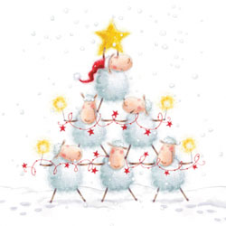 sheep christmas card