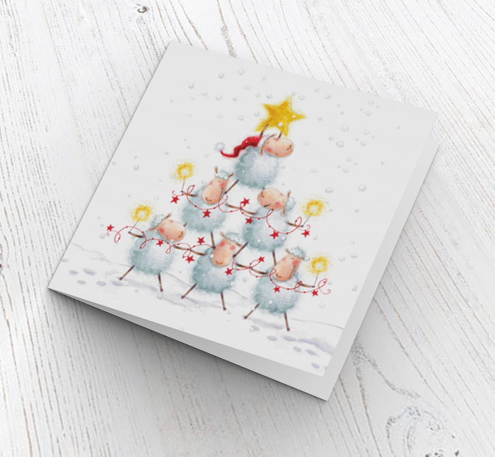 sheep christmas card