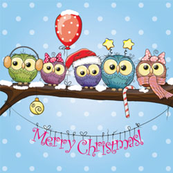 xmas owls christmas card