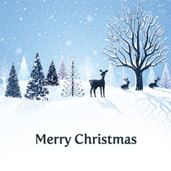 winter scene christmas card