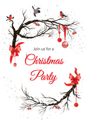 robins party invitations