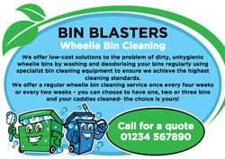 professional bin cleaning services flyers