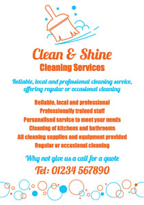 professional cleaning flyers