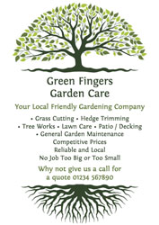 tree roots leaflets