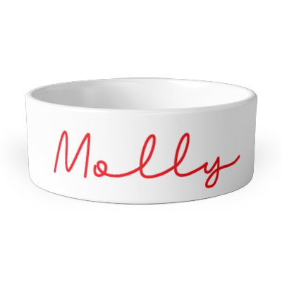 personalised cat whiskers pet bowl